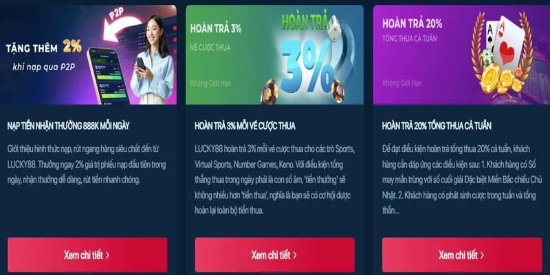 Chương trình VIP ku web